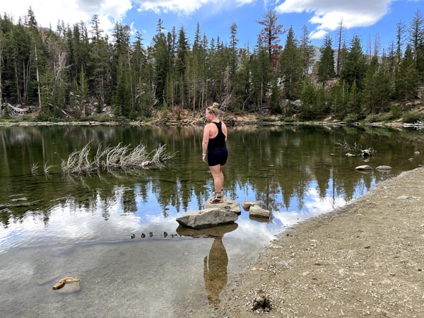 A traveler's photo spot in Mammoth Lakes, Mammoth Lakes & the Eastern Sierra