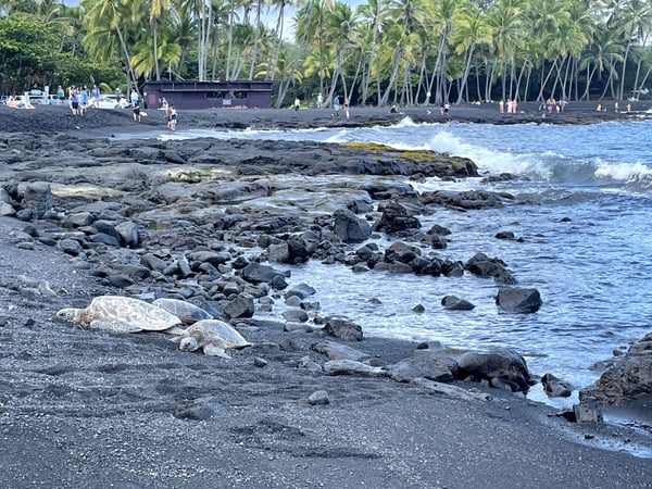 A traveler's photo spot in Hawaiʻi County, Big Island, Hawaii