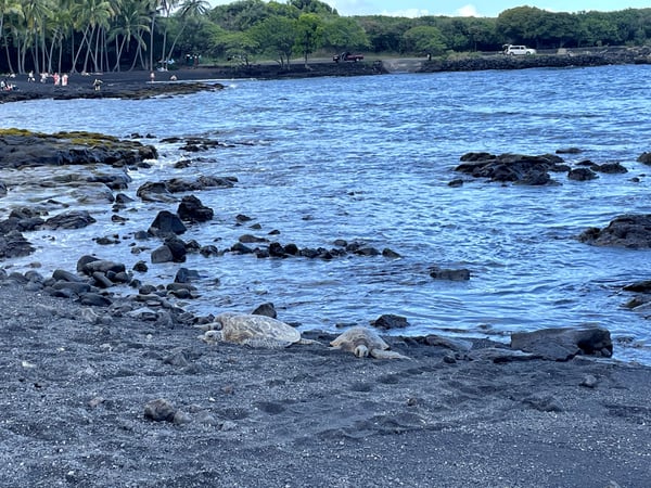A traveler's photo spot in Hawaiʻi County, Big Island, Hawaii