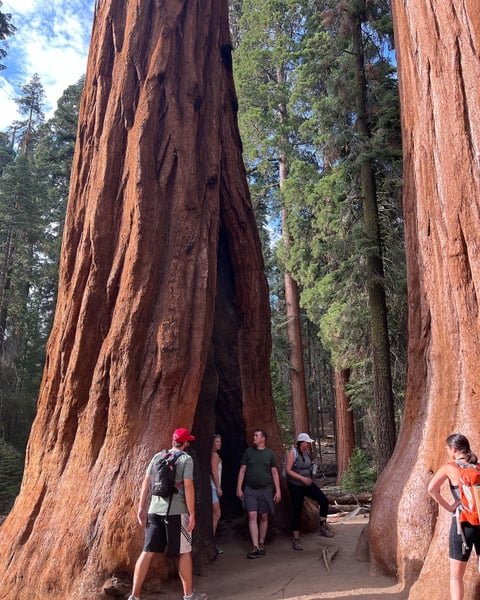 A traveler's photo spot in Sequoia & Kings Canyon