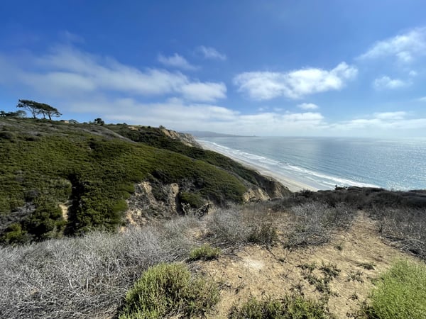 Coastal bluffs with sandy beach and ocean view, taken from a clifftop vantage point in San Diego.
