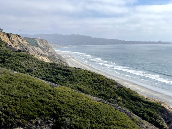 Coastal bluff with sandy beach and pier visible in the distance, viewed from a vegetated hillside overlooking the… — San Diego