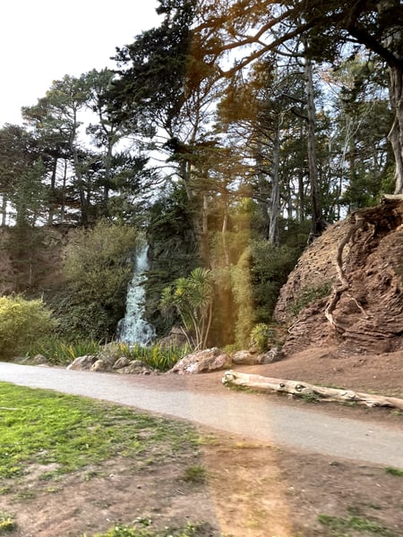 A creek running through a forested canyon with steep eroded banks and native vegetation at Stow Lake, San Francisco. — Golden Gate Park, San Francisco