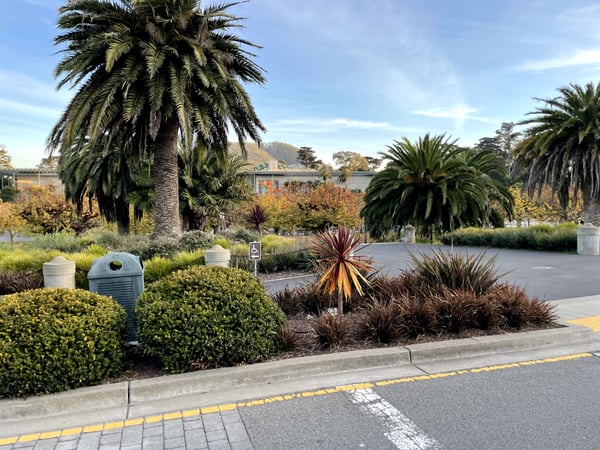 Well-maintained public park with mature palm trees, ornamental plantings, and water views in the background. — Golden Gate Park, San Francisco