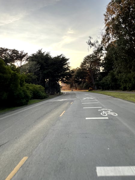 Bike lane and tree-lined road in a San Francisco park, photographed from ground level during late afternoon. — Golden Gate Park, San Francisco