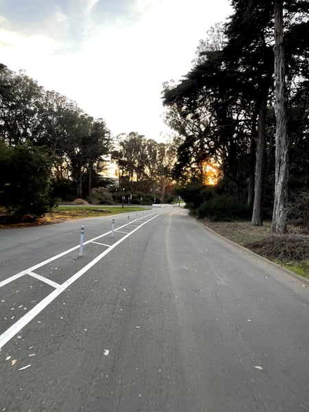Paved path through a eucalyptus grove at dusk, lined with white posts and surrounded by native trees in a San Francisco… — Golden Gate Park, San Francisco