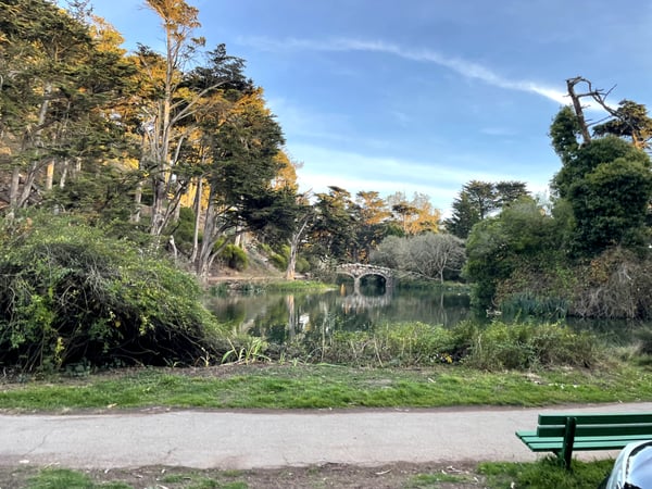 Stow Lake viewed from the shoreline with mature trees, a stone bridge, and a green bench in the foreground. — Inner Sunset, San Francisco