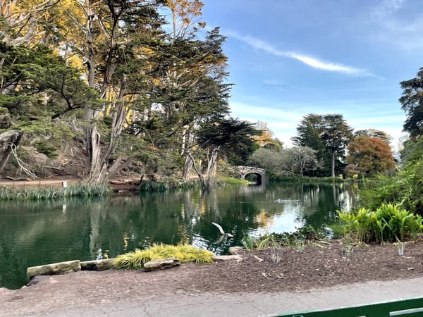 Calm river or pond with mature trees, stone bridge, and manicured gardens in an urban park setting. — Golden Gate Park, San Francisco