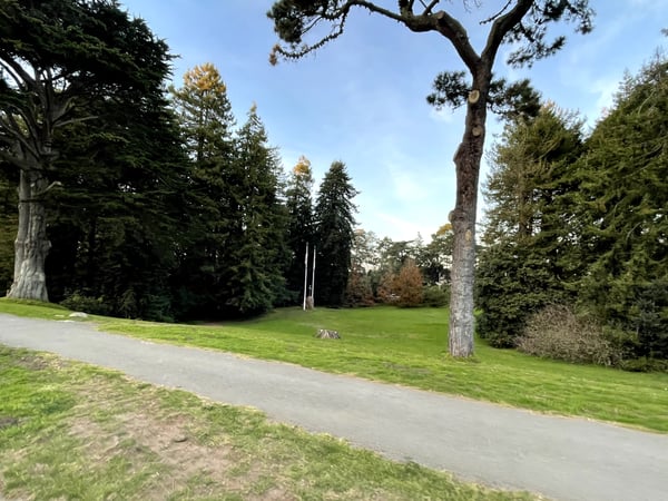 Doughboy Meadow Picnic Area with manicured lawn, mature trees, and a winding path on a clear day. — Inner Richmond, San Francisco