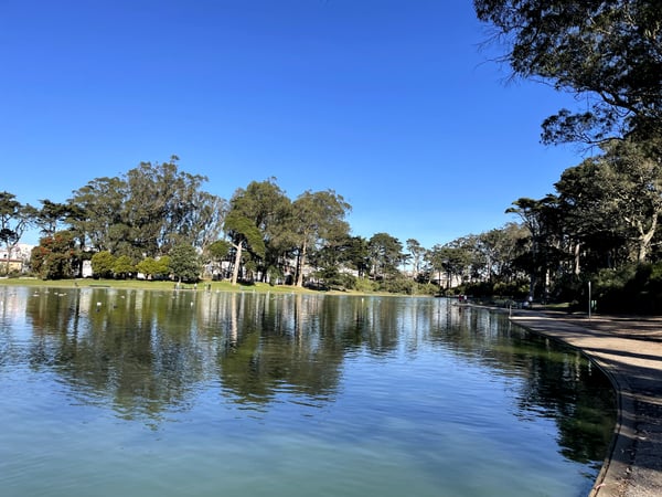 A serene lake surrounded by mature trees and manicured lawns in Golden Gate Park, San Francisco, viewed from the… — Outer Richmond, San Francisco