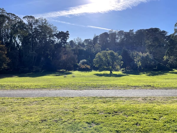 Open meadow with mature trees and picnic areas viewed from a paved path in a public park. — Inner Richmond, San Francisco
