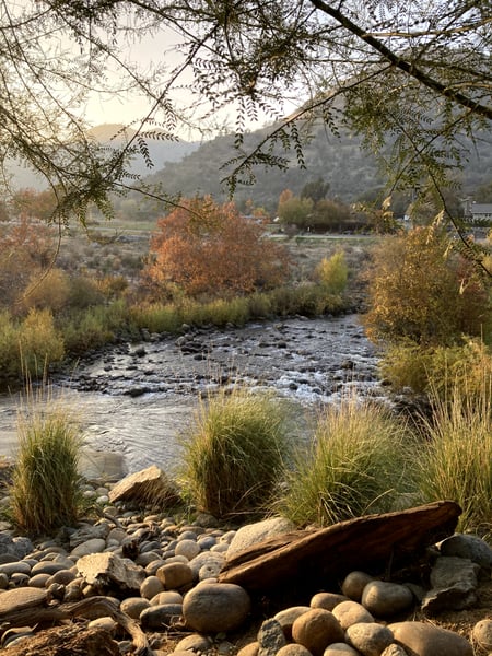 A flowing river with rocky banks framed by golden autumn foliage and distant forested hills. — Sequoia & Kings Canyon