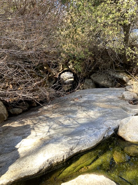 A traveler's photo spot in Sequoia & Kings Canyon