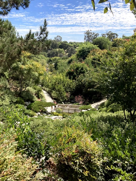 A traveler's photo spot in Banker's Hill, San Diego