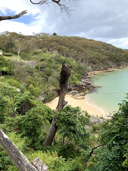 A traveler's photo spot in Northern Beaches, Sydney
