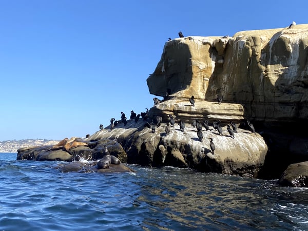 A traveler's photo spot in La Jolla, San Diego
