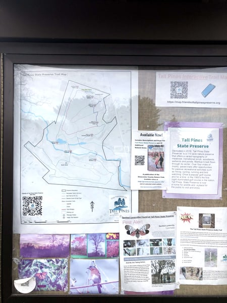 Indian Trail — a traveler's photo spot in Philadelphia