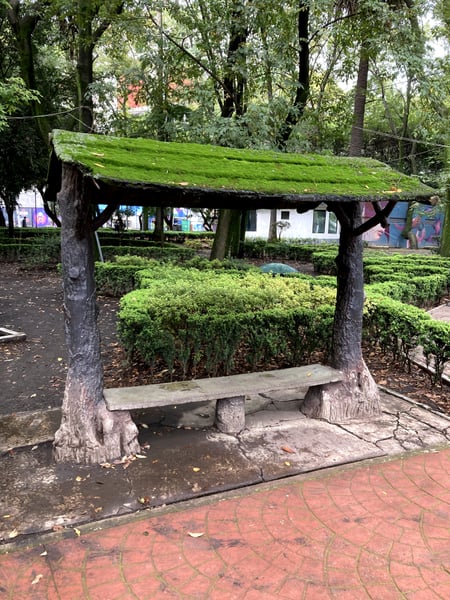 A traveler's photo spot in Condesa, Mexico City