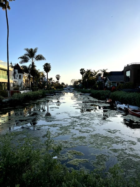 A traveler's photo spot in Venice, Los Angeles