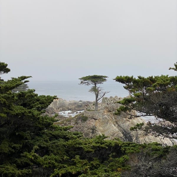 A traveler's photo spot in Del Monte Forest, Monterey & Carmel