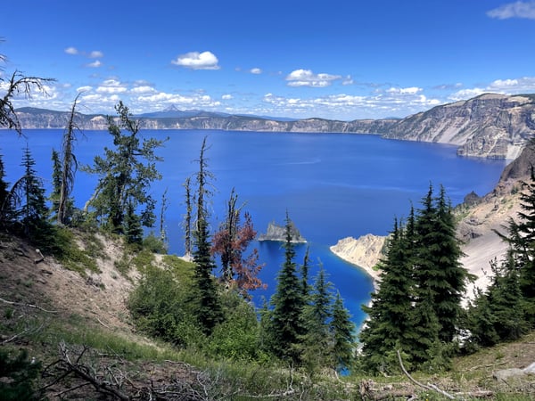Deep blue alpine lake surrounded by volcanic caldera walls and coniferous forest, viewed from Sun Notch Trail. — Crater Lake National Park