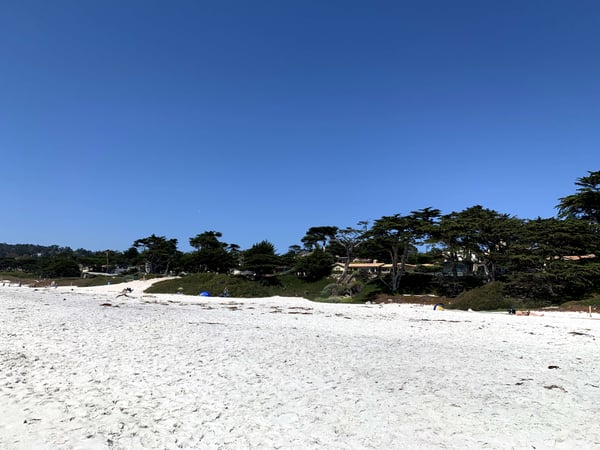 A traveler's photo spot in Carmel-by-the-Sea, Monterey & Carmel