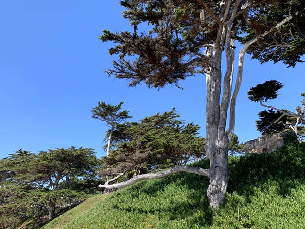 A traveler's photo spot in Carmel-by-the-Sea, Monterey & Carmel