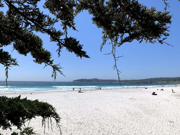 A traveler's photo spot in Carmel-by-the-Sea, Monterey & Carmel