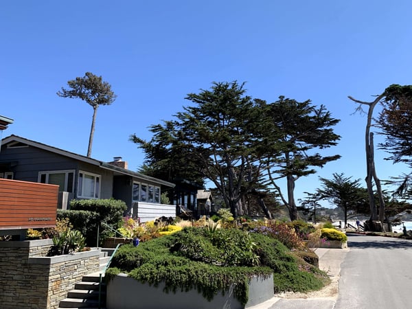 A traveler's photo spot in Carmel-by-the-Sea, Monterey & Carmel
