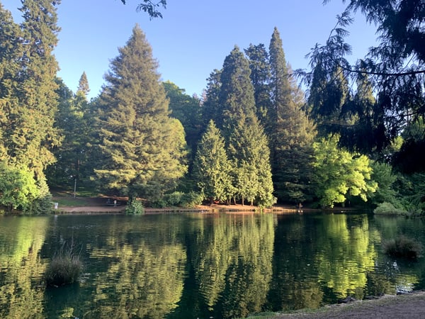 A traveler's photo spot in Laurelhurst, Portland
