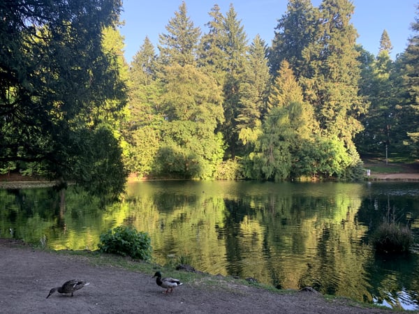 A traveler's photo spot in Laurelhurst, Portland