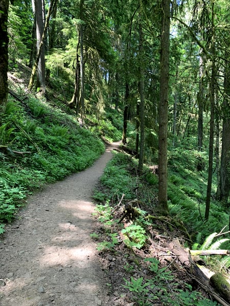 A traveler's photo spot in Hillside, Portland