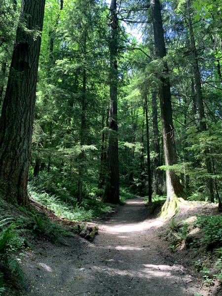 A traveler's photo spot in Hillside, Portland
