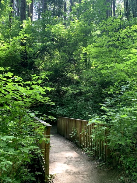 A traveler's photo spot in Hillside, Portland