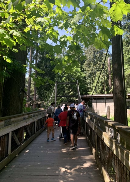 A traveler's photo spot in Portland