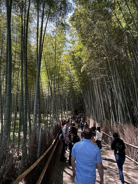 A traveler's photo spot in 右京区, Kyoto