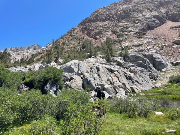 Alpine meadow with stream and rocky mountainside dotted with conifers under clear sky near Bishop, California. — Mammoth Lakes & the Eastern Sierra