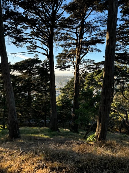 A traveler's photo spot in Haight-Ashbury, San Francisco