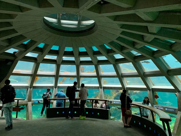 Interior of the Seattle Aquarium's domed viewing chamber with visitors observing marine life through large windows. — Belltown, Seattle