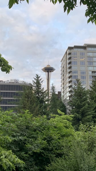 Seattle Center's Space Needle viewed through lush green vegetation from Olympic Sculpture Park. — Olympic Sculpture Park, Seattle
