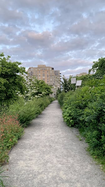 A tree-lined gravel pathway in Olympic Sculpture Park with modernist apartment buildings visible beyond the vegetation. — Olympic Sculpture Park, Seattle