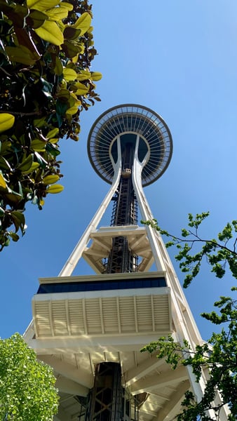 Space Needle observation tower photographed from ground level in Seattle, with surrounding foliage framing the iconic… — Space Needle, Seattle