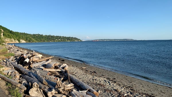 A traveler's photo spot in Magnolia, Seattle