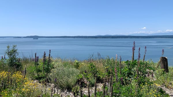 A traveler's photo spot in Magnolia, Seattle