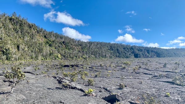 A traveler's photo spot in Hawaiʻi County, Big Island, Hawaii
