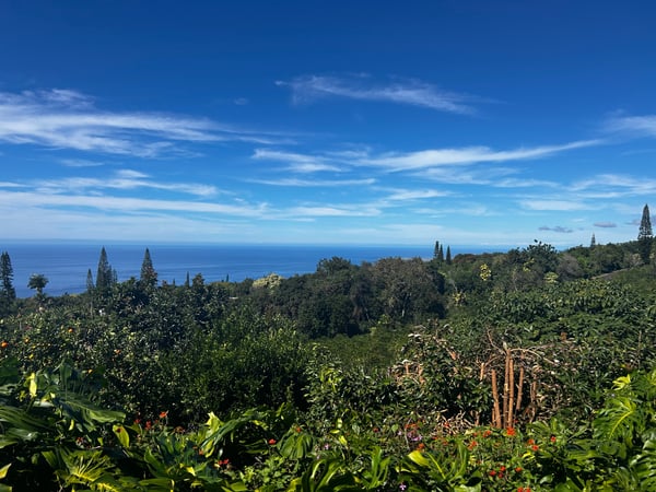 A traveler's photo spot in Honalo, Big Island, Hawaii