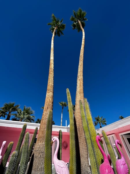 A traveler's photo spot in Chula Vista, San Diego