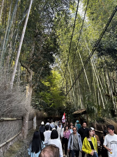 A traveler's photo spot in 右京区, Kyoto