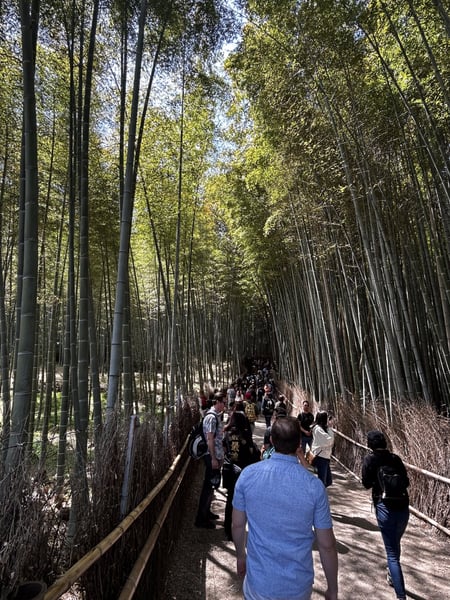 A traveler's photo spot in 右京区, Kyoto