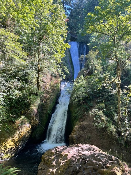 Waterfall cascading through a moss-covered rocky gorge surrounded by dense forest canopy, viewed from the trail below. — Columbia River Gorge